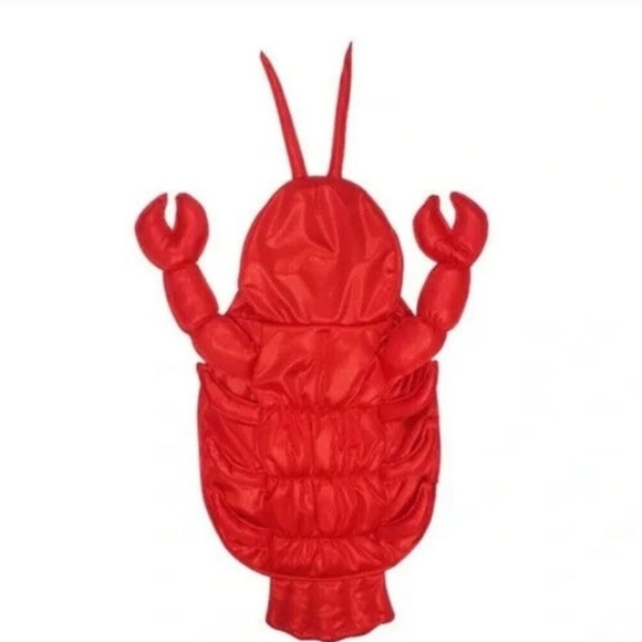 Lobster Costume Pet Size Small Dog (10-20 lbs) Halloween Vibrant Li… - Picture 3 of 8